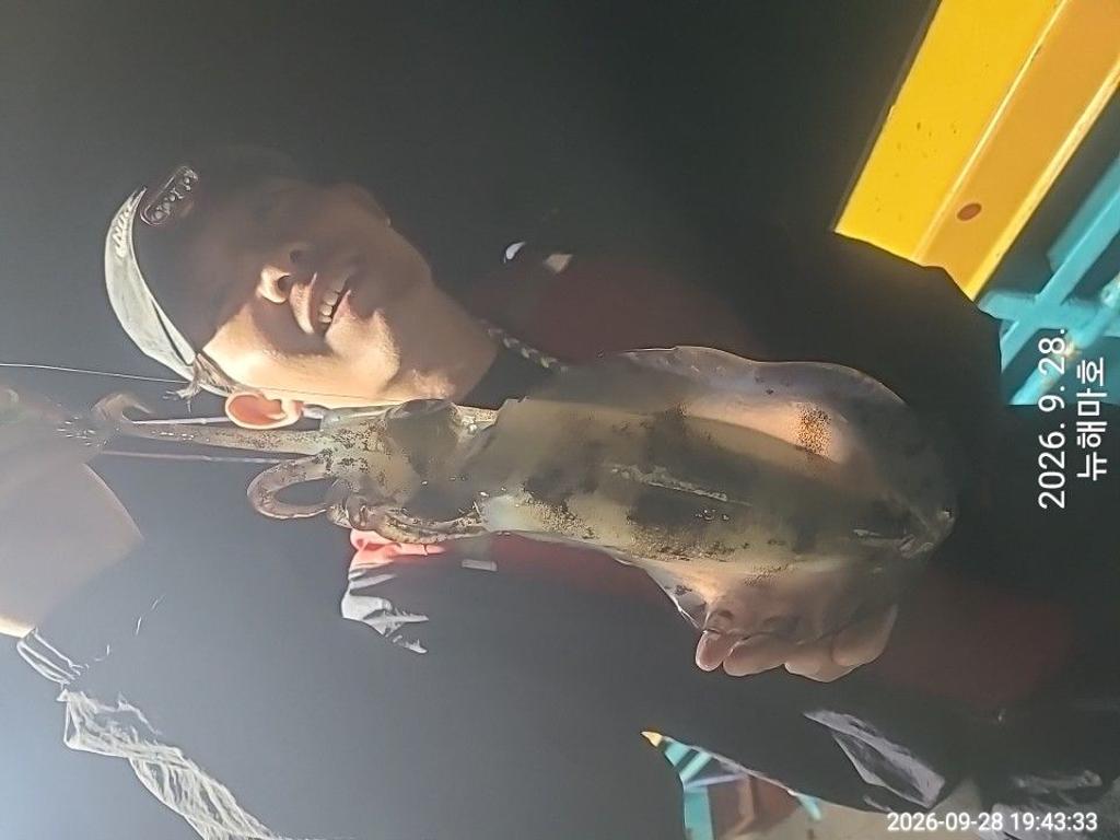 낚시뚜,무늬오징어,영일만항,뉴해마호,낚시뚜10