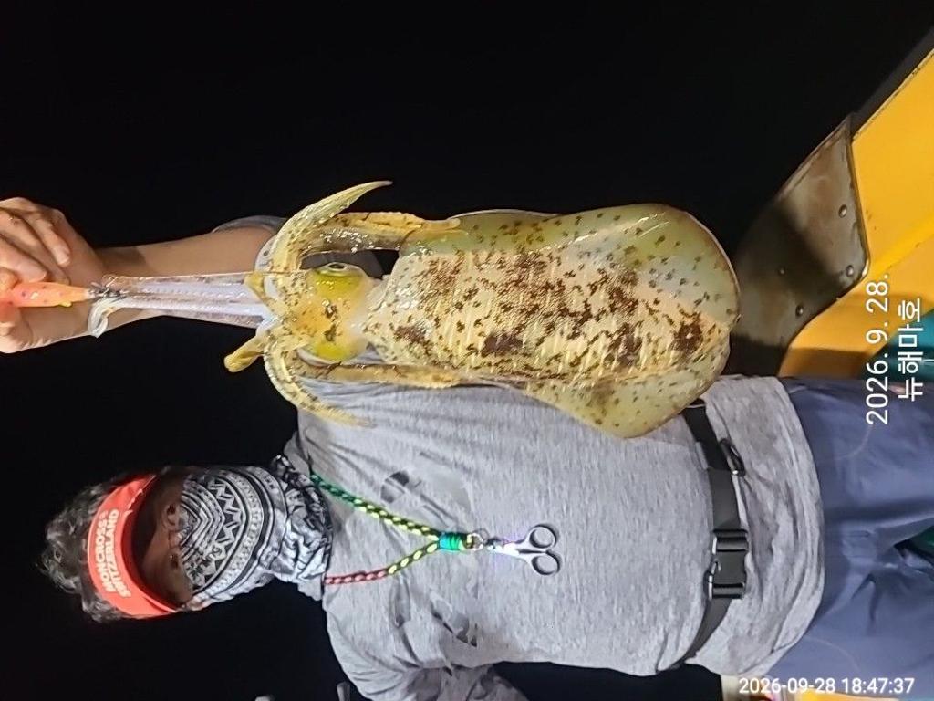 낚시뚜,무늬오징어,영일만항,뉴해마호,낚시뚜4