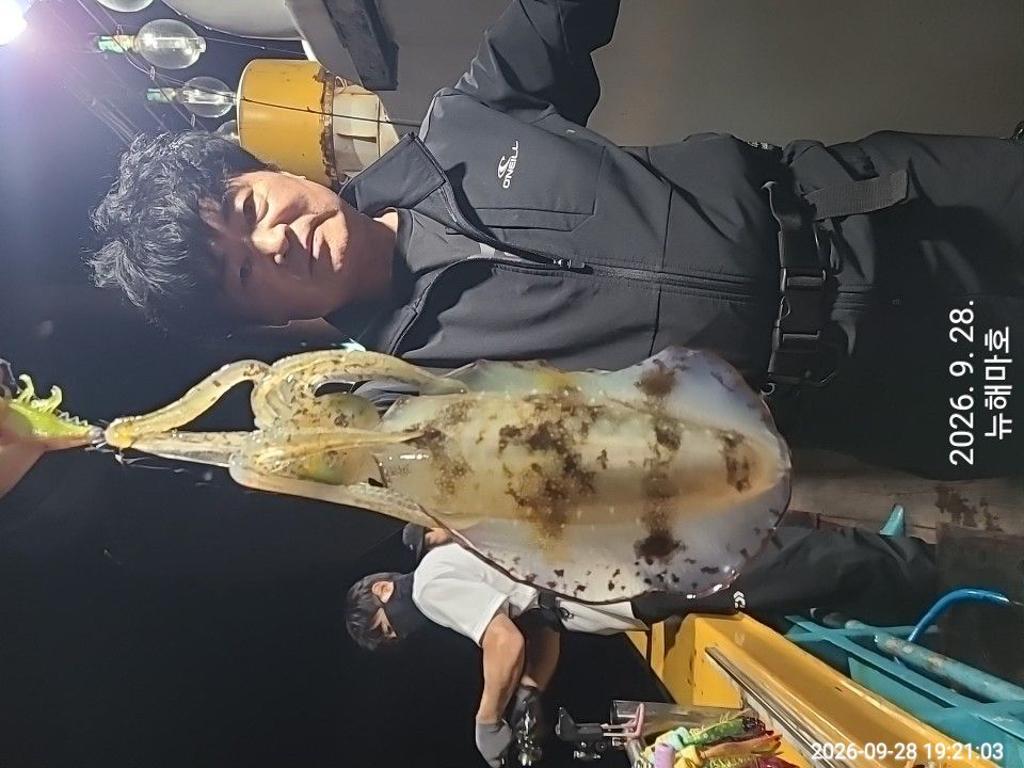 낚시뚜,무늬오징어,영일만항,뉴해마호,낚시뚜2