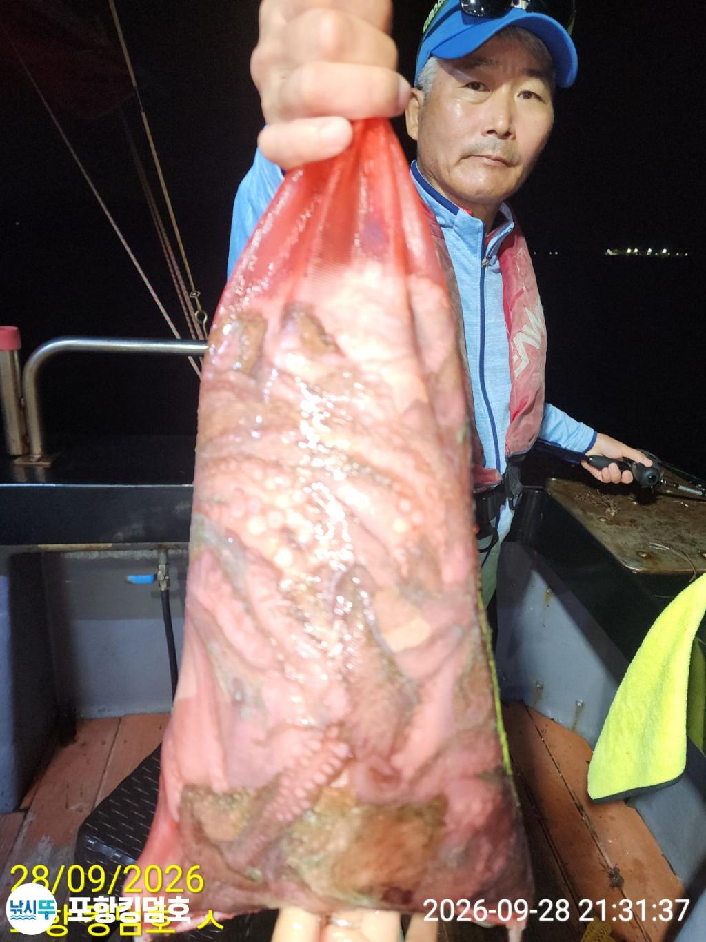 낚시뚜,돌문어,영일만항,포항 킹덤호,낚시뚜24
