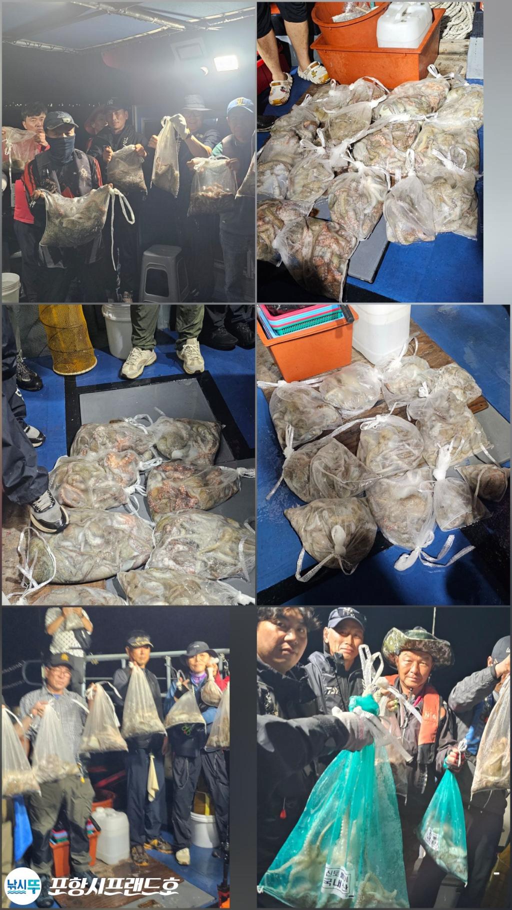 낚시뚜,돌문어,영일만항,포항시프랜드호,낚시뚜2