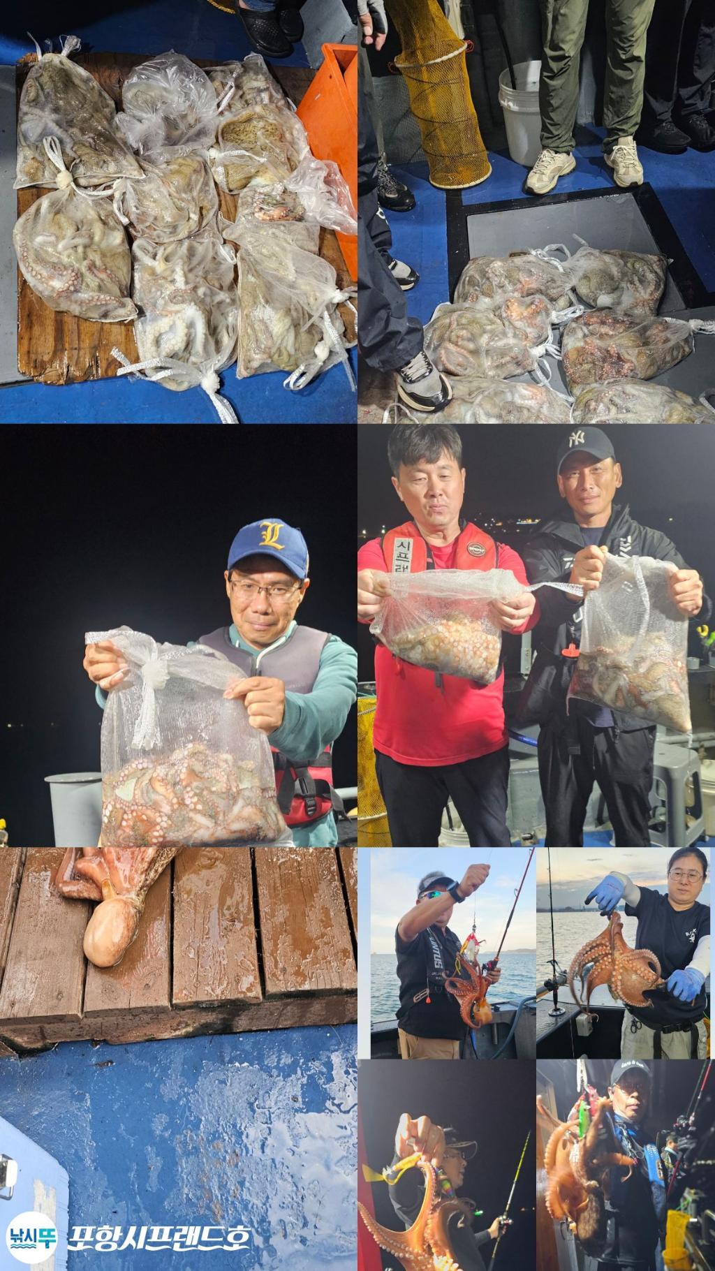 낚시뚜,돌문어,영일만항,포항시프랜드호,낚시뚜0