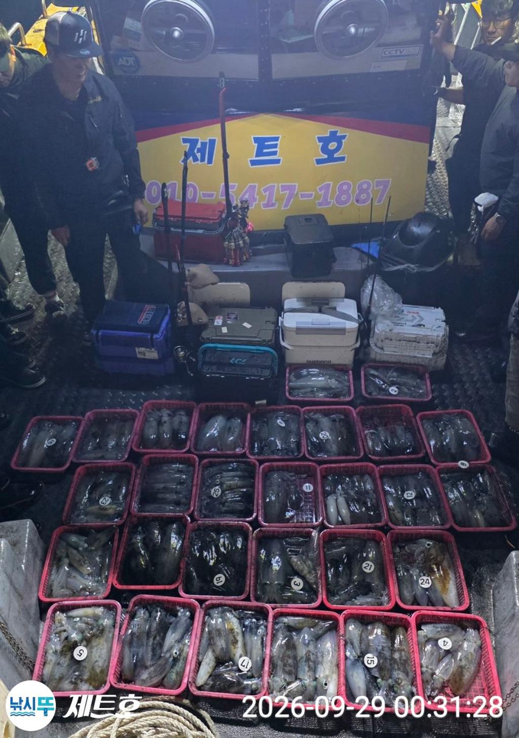 낚시뚜,무늬오징어,영일만항,포항 제트호,낚시뚜24