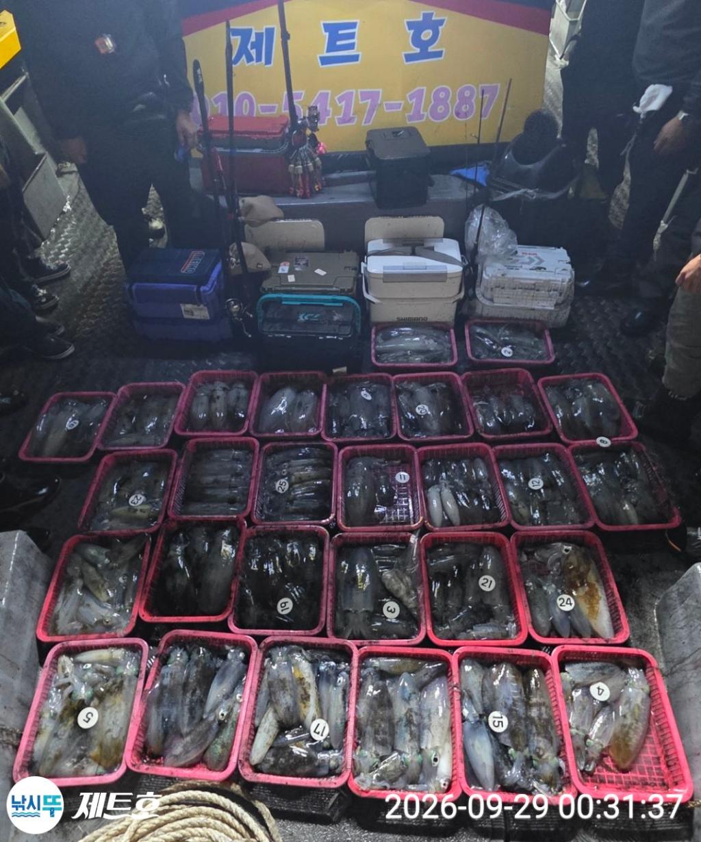 낚시뚜,무늬오징어,영일만항,포항 제트호,낚시뚜22