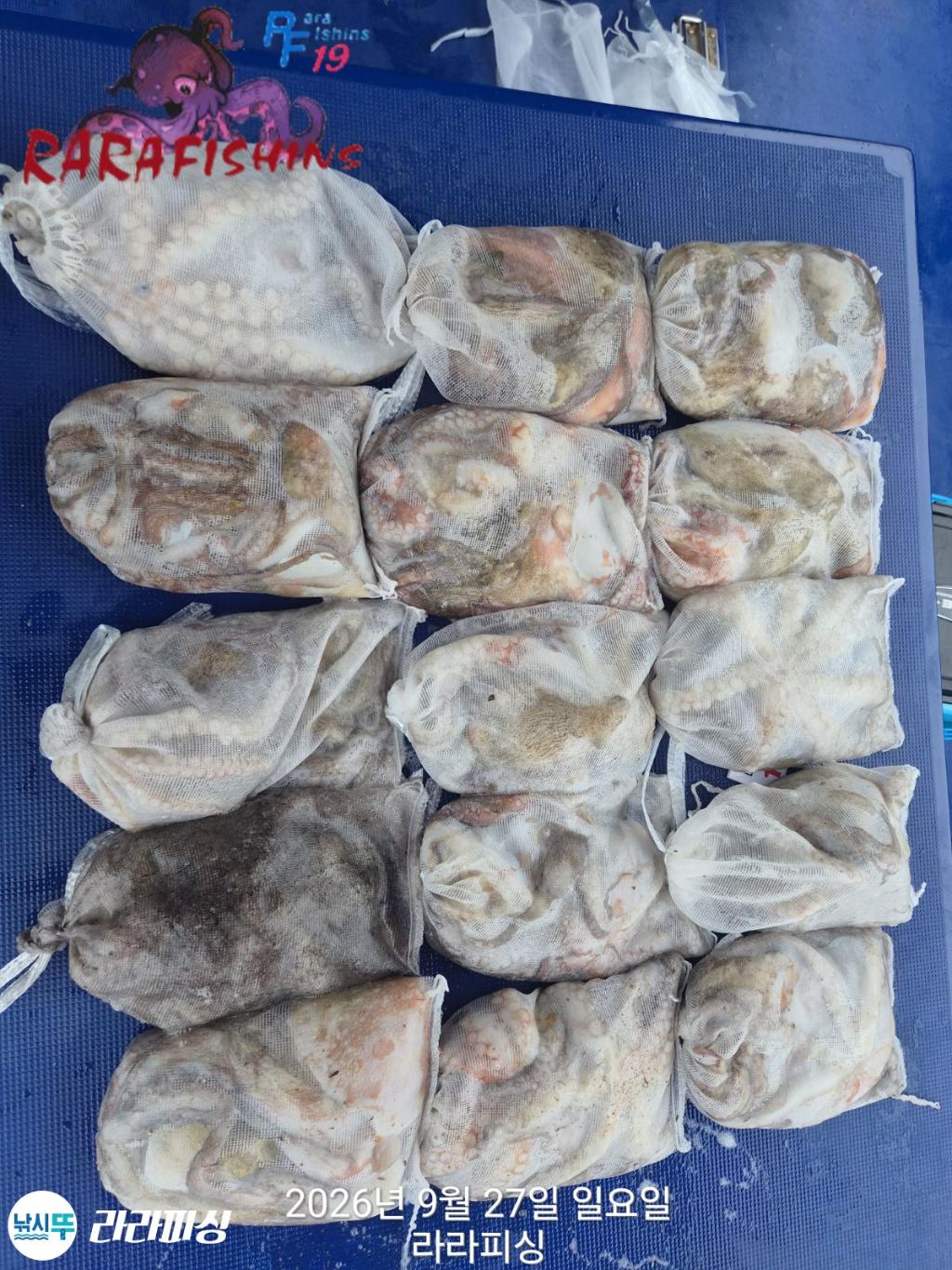 낚시뚜,돌문어,속천항(진해),라라피싱,낚시뚜17