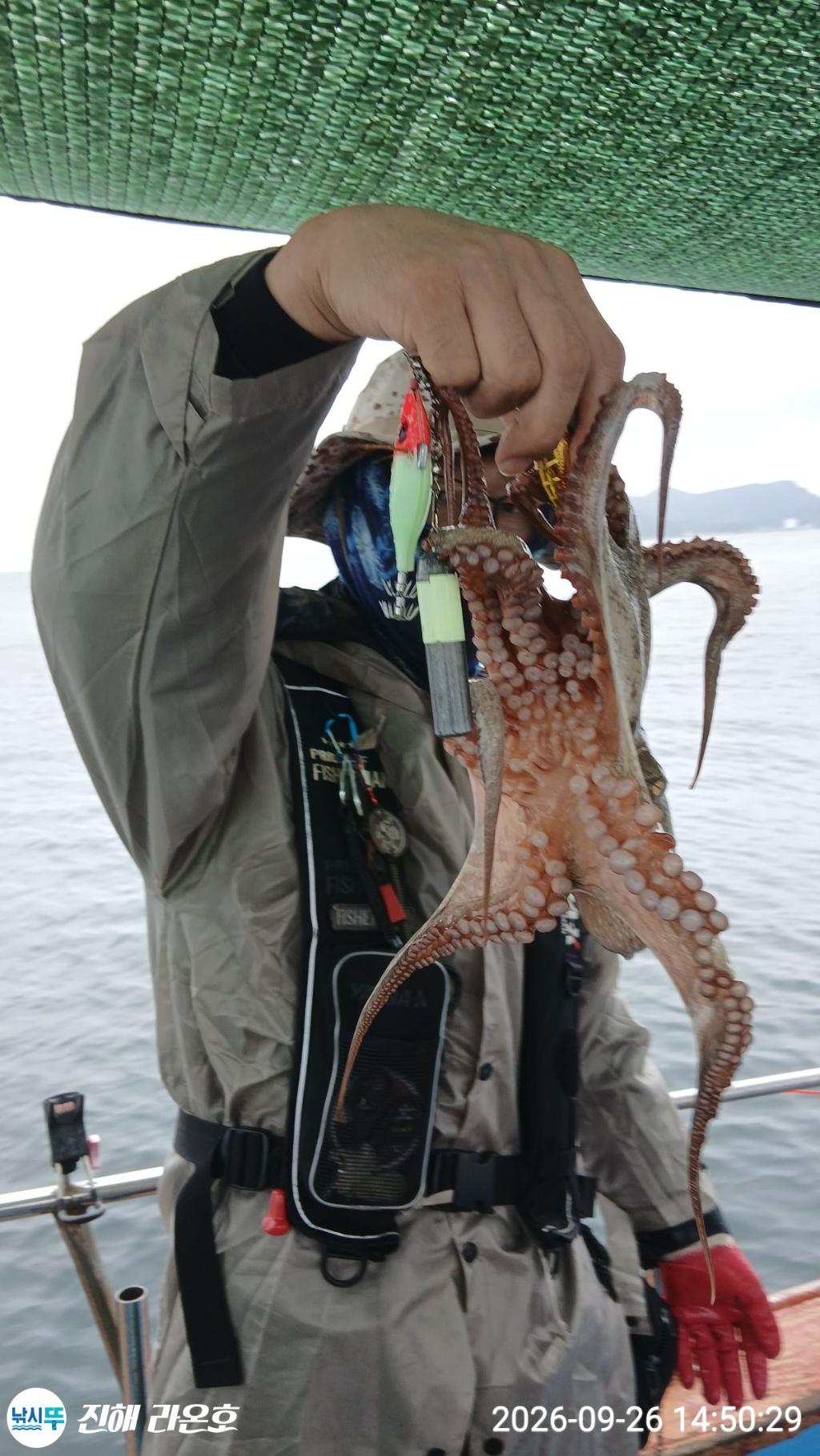 낚시뚜,돌문어,삼포항,진해 라온호,낚시뚜12