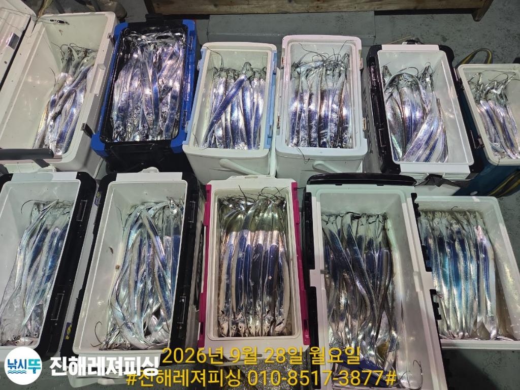낚시뚜,갈치,진해1부두항,진해레져피싱,낚시뚜27
