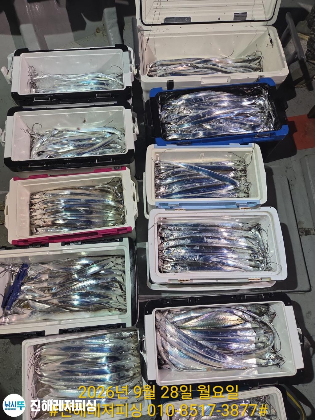 낚시뚜,갈치,진해1부두항,진해레져피싱,낚시뚜25