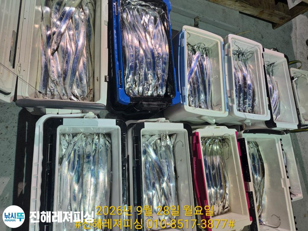 낚시뚜,갈치,진해1부두항,진해레져피싱,낚시뚜24