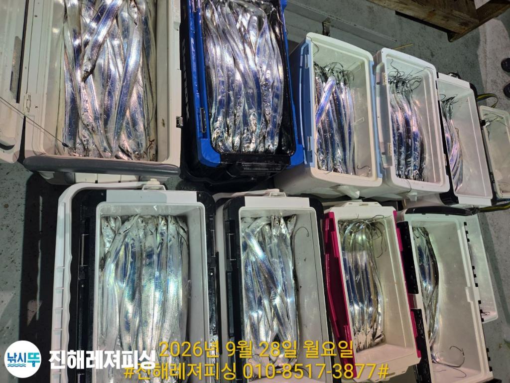 낚시뚜,갈치,진해1부두항,진해레져피싱,낚시뚜22