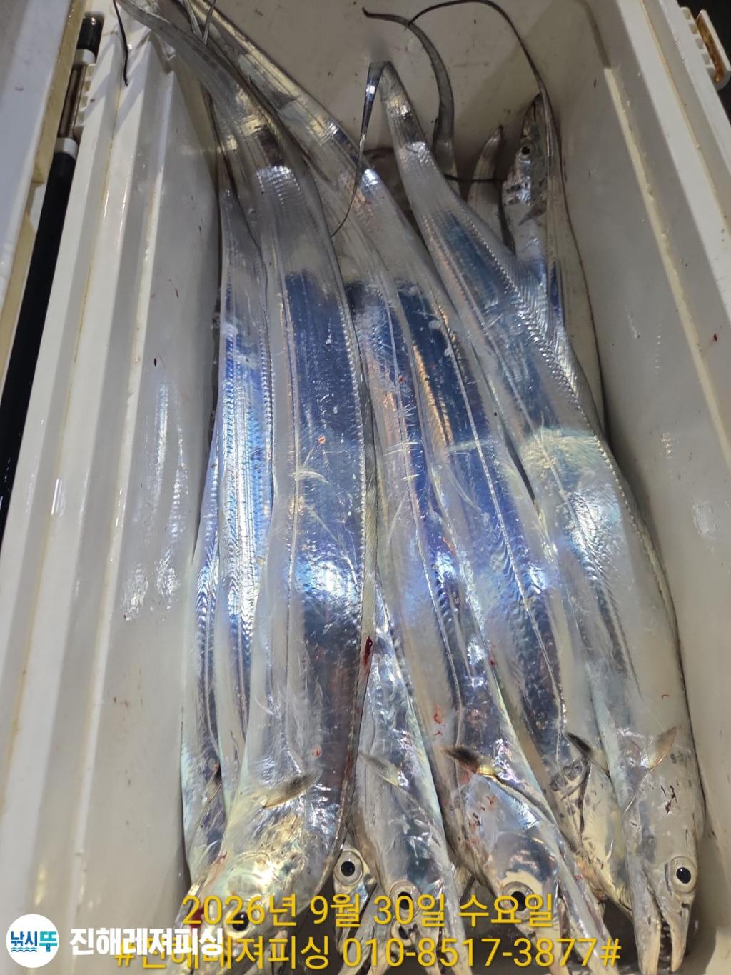 낚시뚜,갈치,진해1부두항,진해레져피싱,낚시뚜19