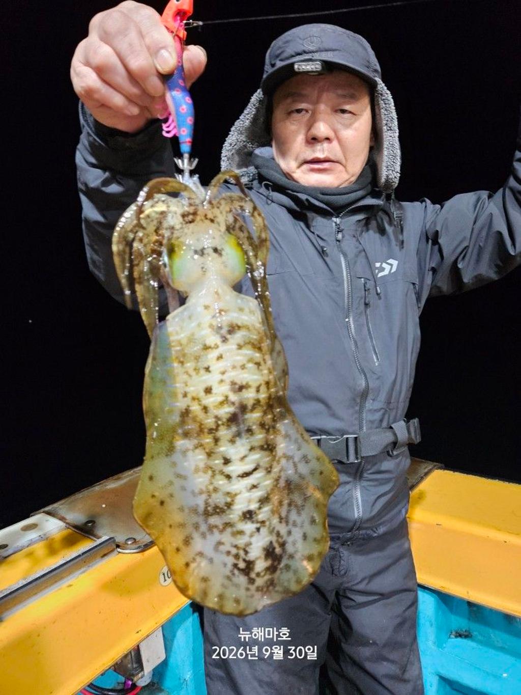 낚시뚜,무늬오징어,영일만항,뉴해마호,낚시뚜12