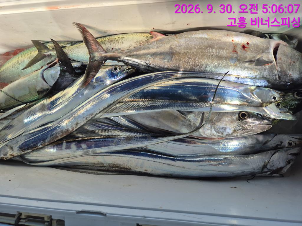 낚시뚜,,녹동항,비너스피싱,낚시뚜7