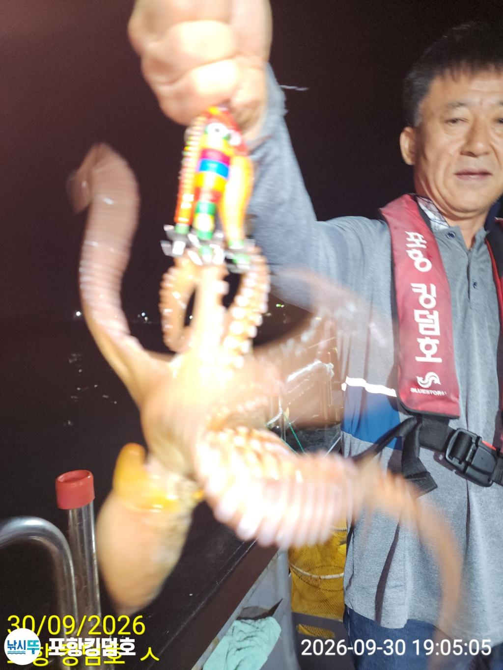 낚시뚜,돌문어,영일만항,포항 킹덤호,낚시뚜25