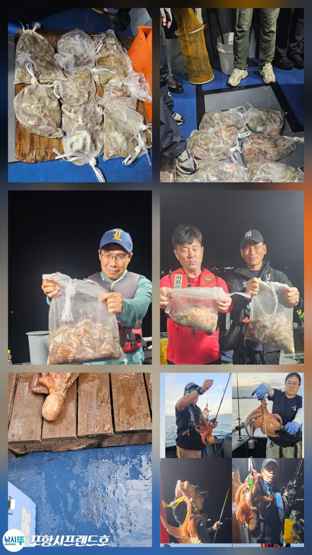 낚시뚜,돌문어,영일만항,포항시프랜드호,낚시뚜3