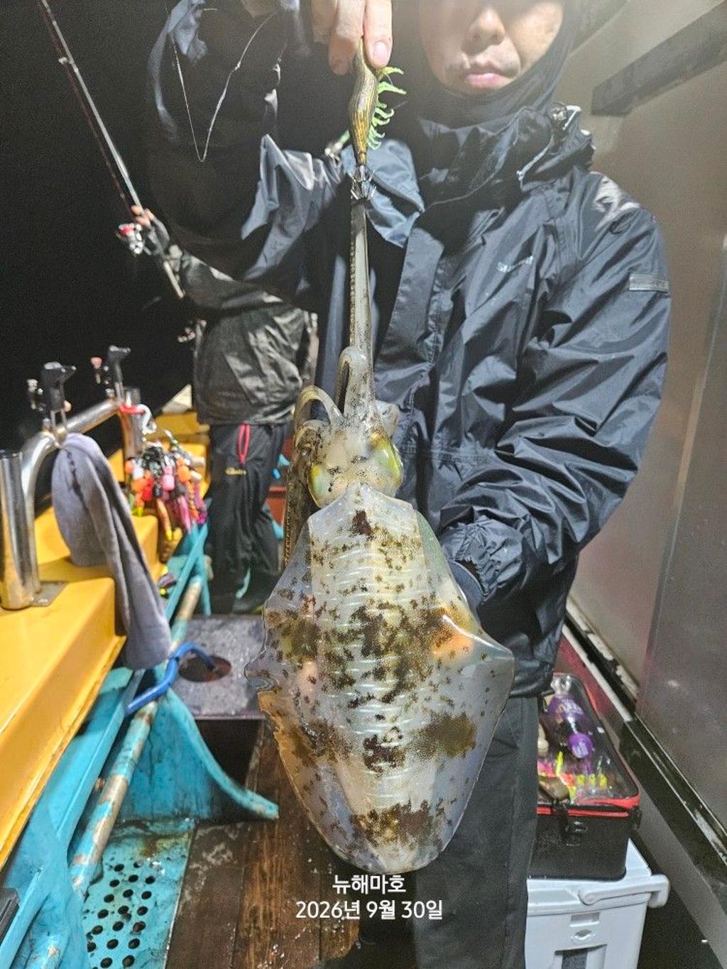 낚시뚜,무늬오징어,영일만항,뉴해마호,낚시뚜12