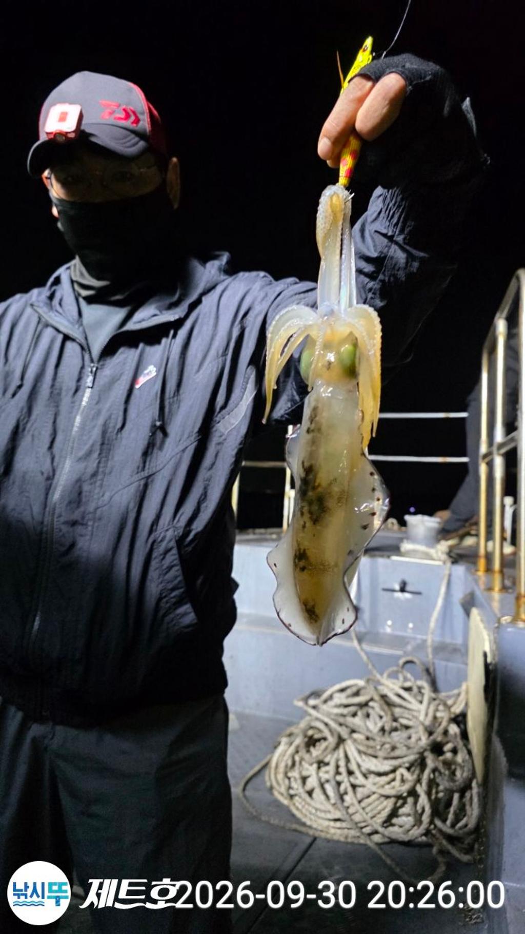 낚시뚜,무늬오징어,영일만항,포항 제트호,낚시뚜15