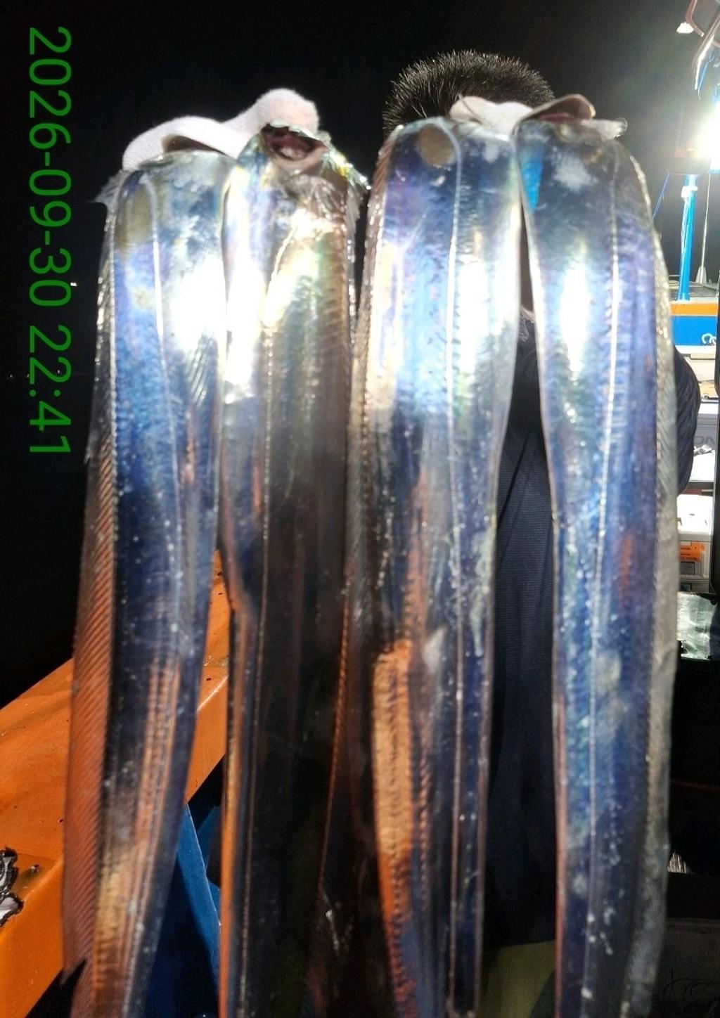 낚시뚜,갈치,삼포항,삼포대교낚시,낚시뚜0