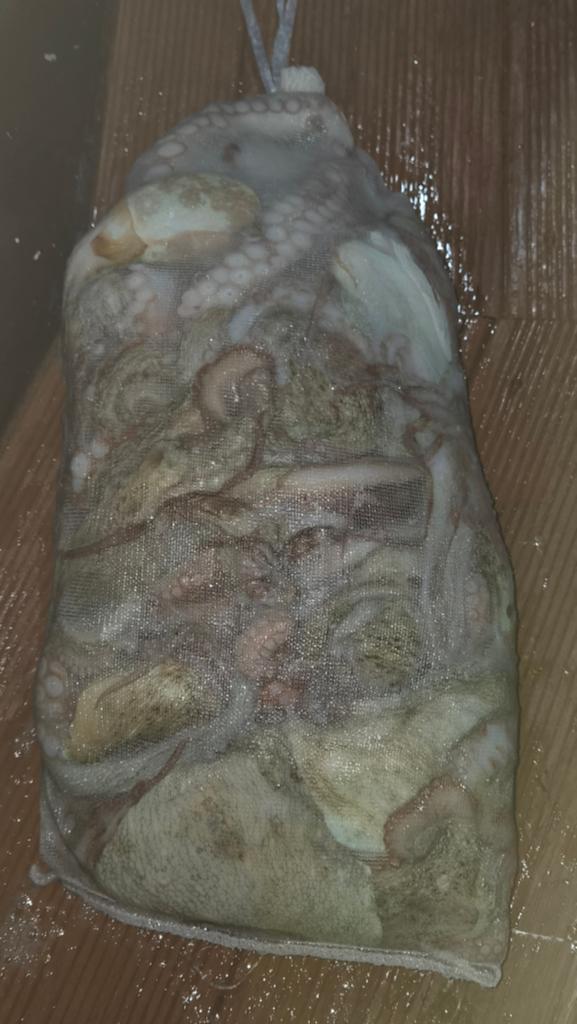 낚시뚜,돌문어,포항여남항,포항포시즌호,낚시뚜2