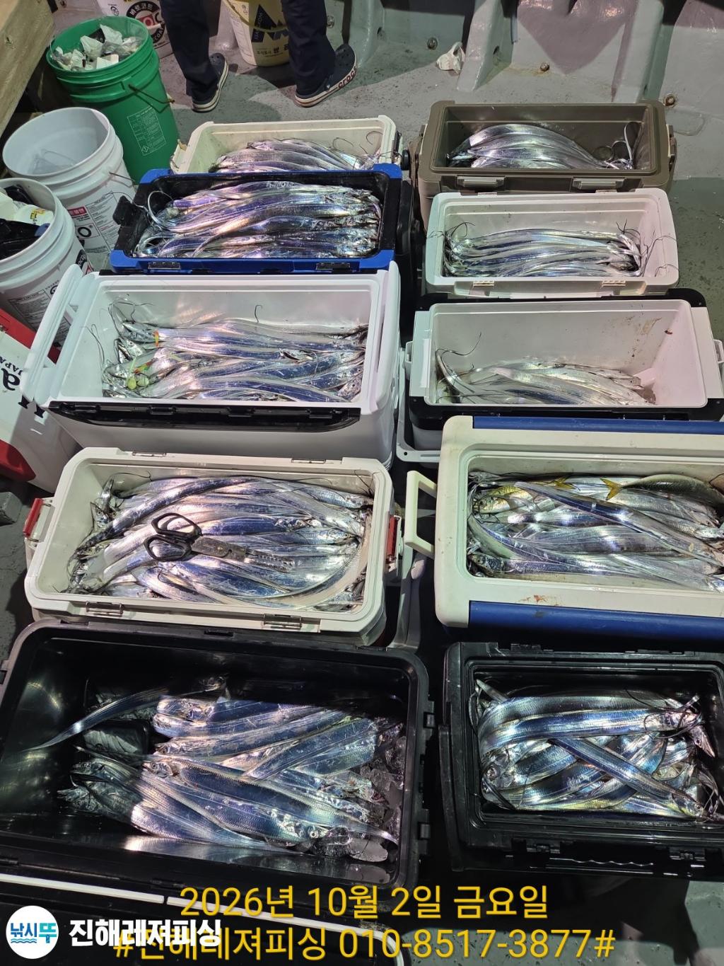낚시뚜,갈치,진해1부두항,진해레져피싱,낚시뚜22