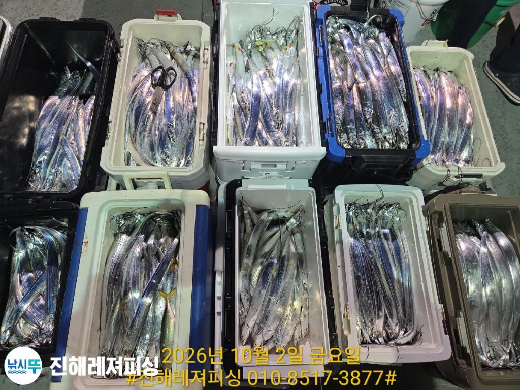 낚시뚜,갈치,진해1부두항,진해레져피싱,낚시뚜15