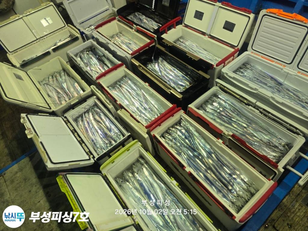 낚시뚜,갈치,통영영운리항,부성피싱7호,낚시뚜24