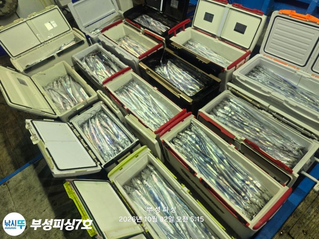 낚시뚜,갈치,통영영운리항,부성피싱7호,낚시뚜23