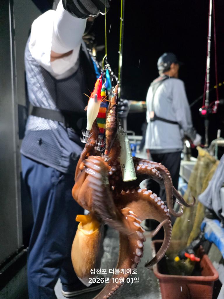 낚시뚜,돌문어,쭈꾸미,삼천포 팔포항,삼천포 더블케이호,낚시뚜4
