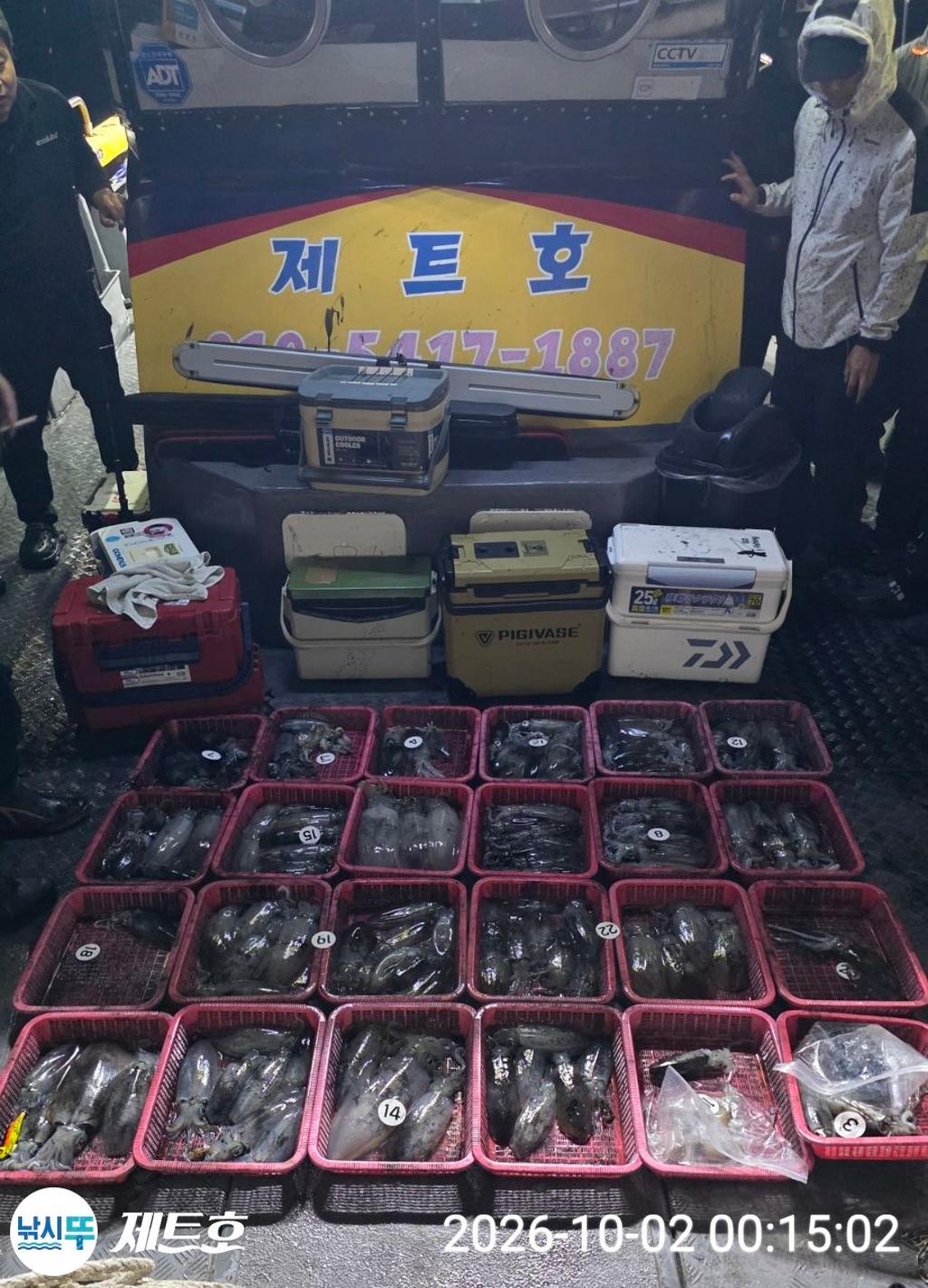 낚시뚜,무늬오징어,영일만항,포항 제트호,낚시뚜11