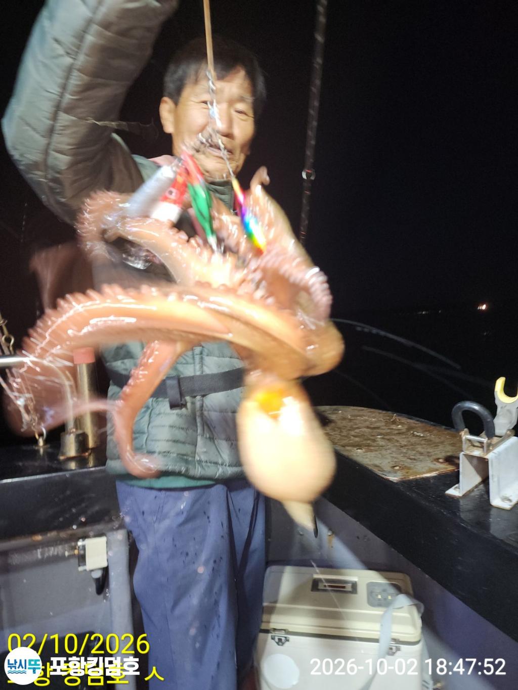 낚시뚜,돌문어,영일만항,포항 킹덤호,낚시뚜28