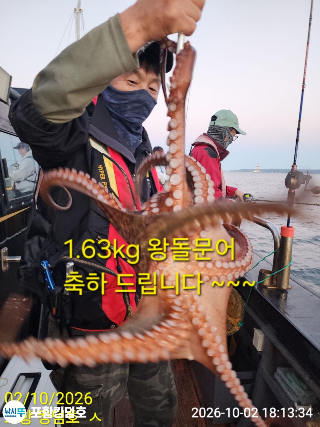 낚시뚜,돌문어,영일만항,포항 킹덤호,낚시뚜20