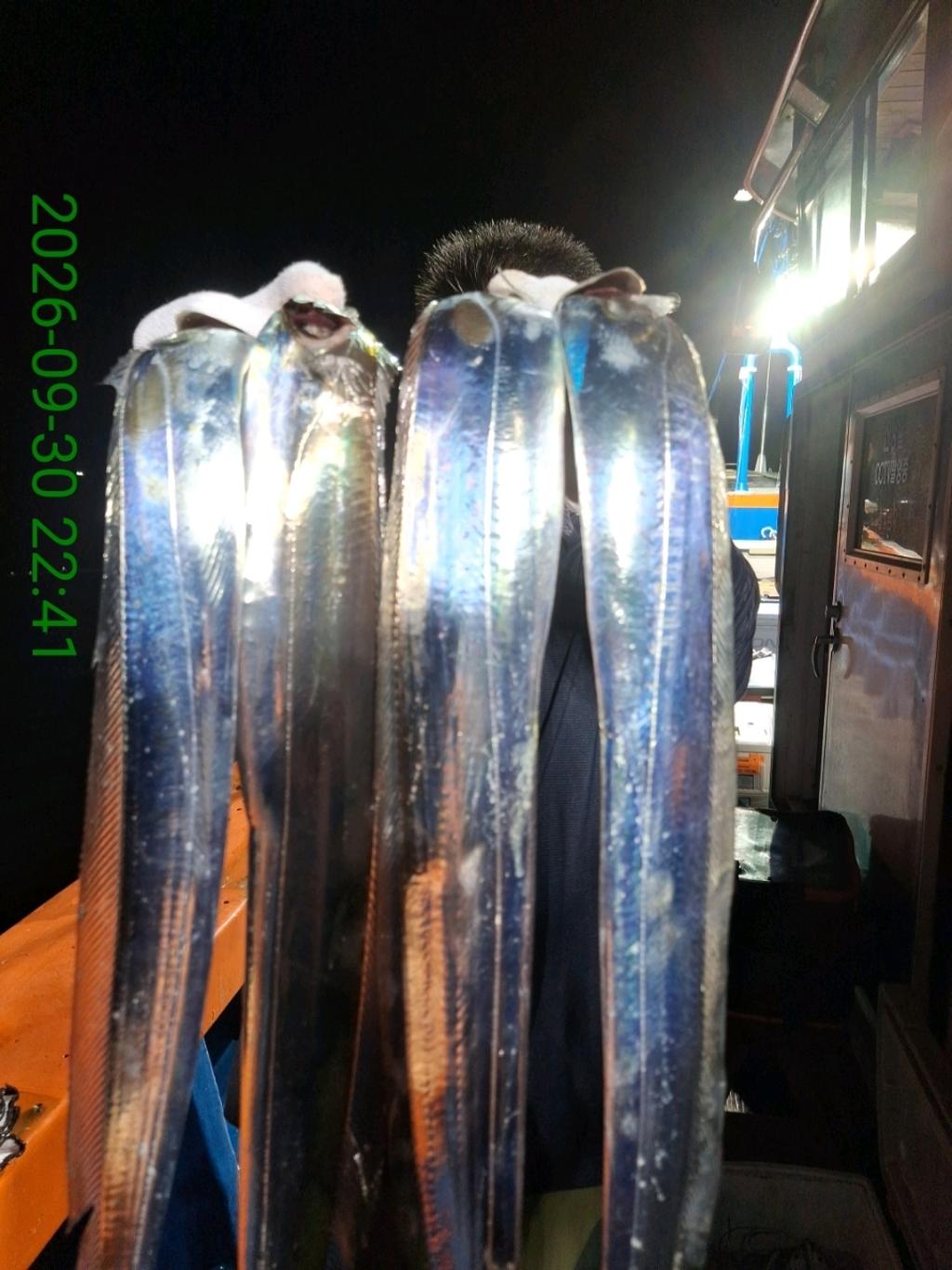 낚시뚜,갈치,삼포항,삼포대교낚시,낚시뚜8