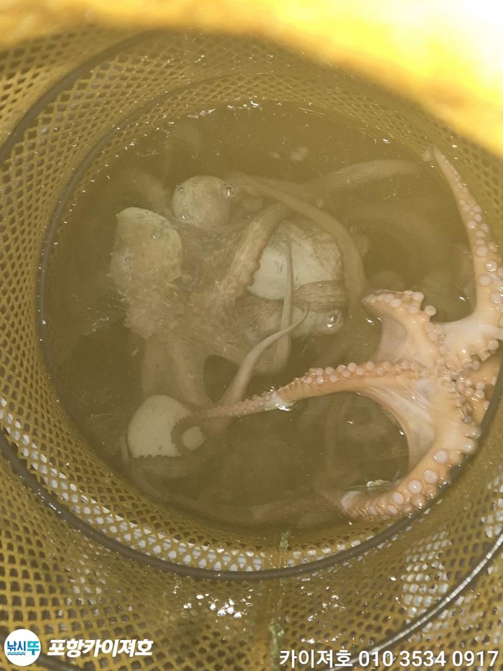 낚시뚜,기타 (직접입력),영일만항,포항카이져호,낚시뚜43