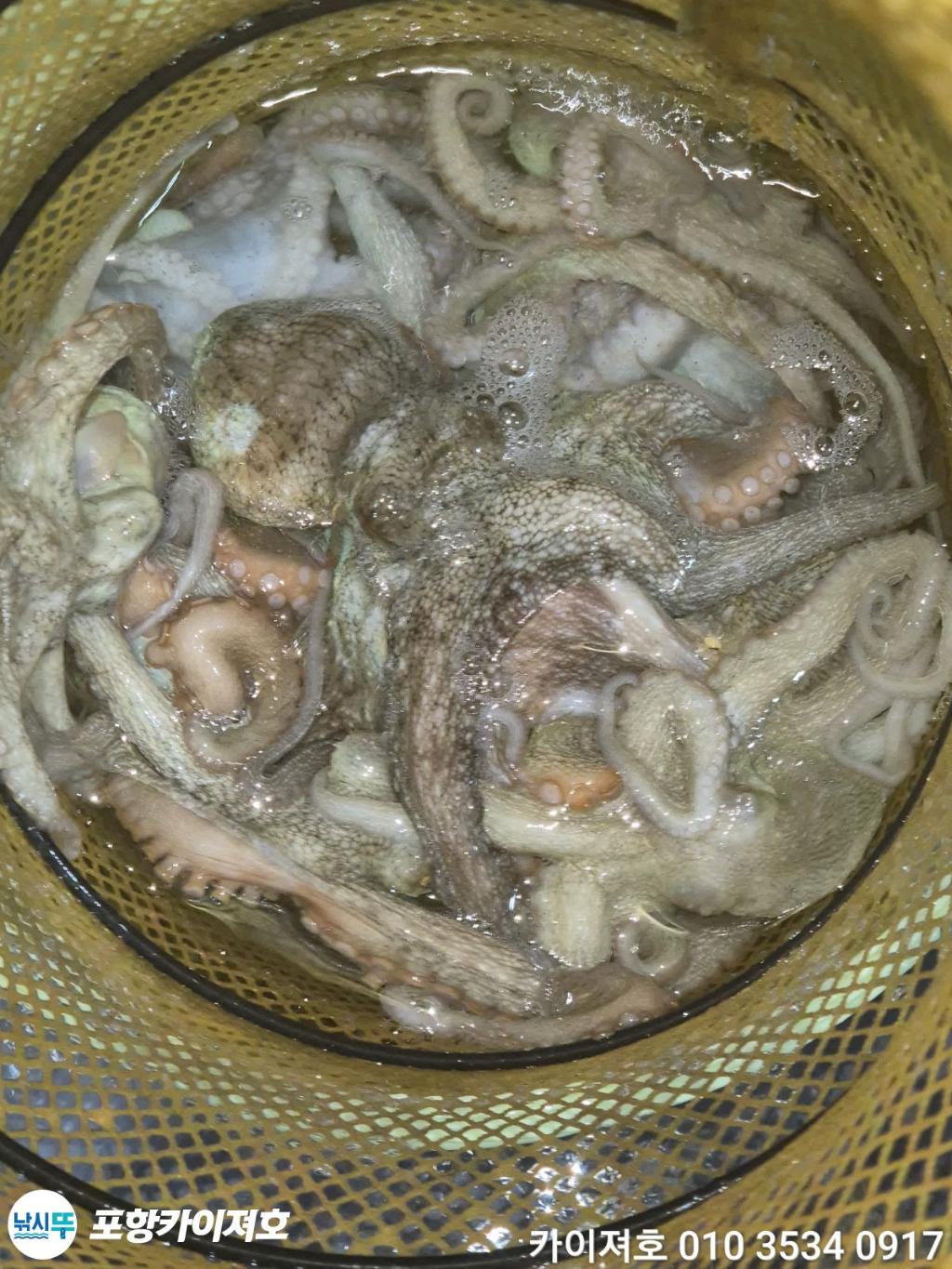 낚시뚜,기타 (직접입력),영일만항,포항카이져호,낚시뚜42