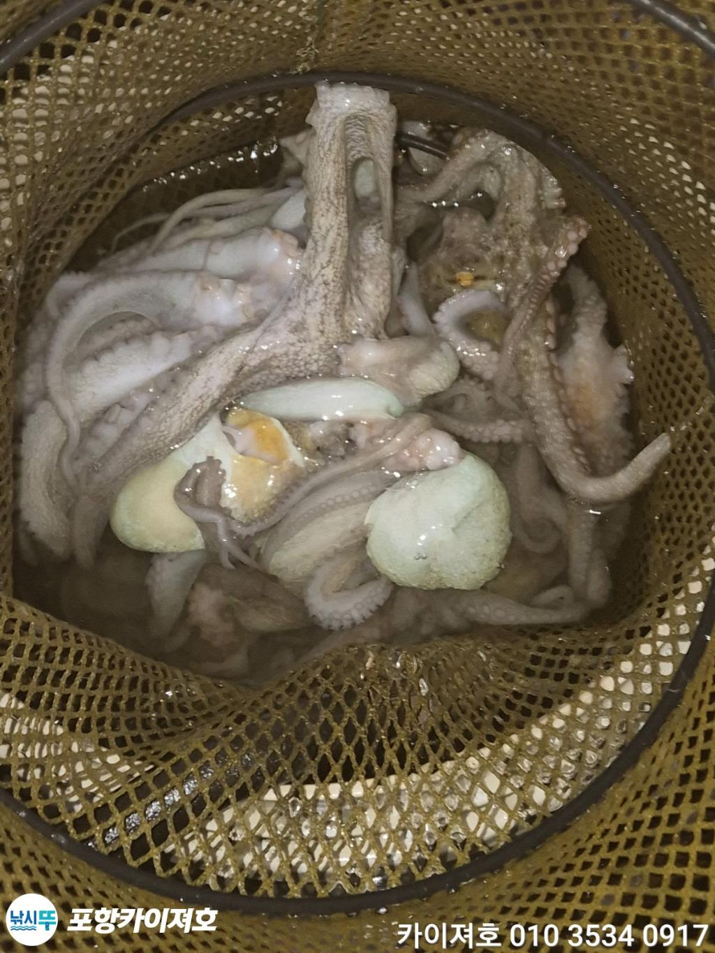 낚시뚜,기타 (직접입력),영일만항,포항카이져호,낚시뚜37