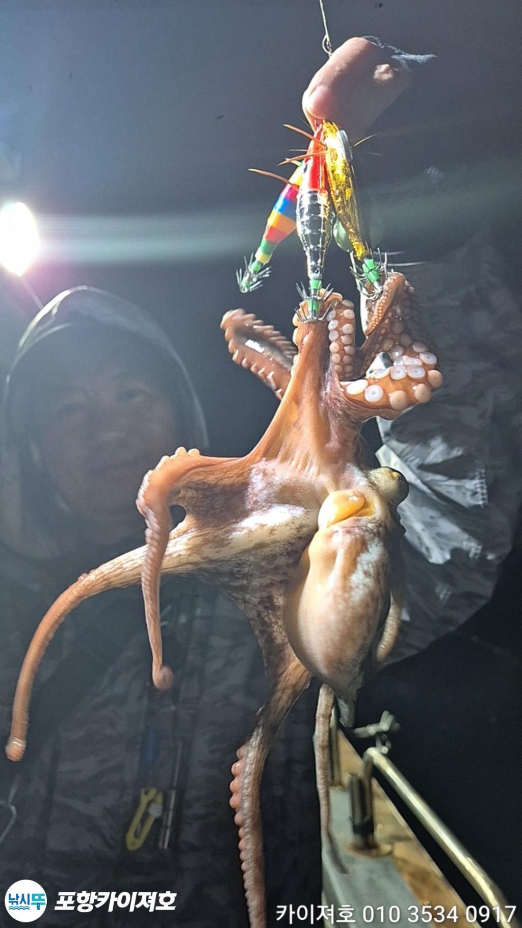 낚시뚜,기타 (직접입력),영일만항,포항카이져호,낚시뚜20