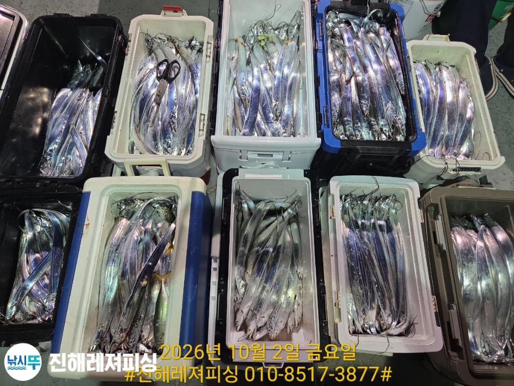 낚시뚜,갈치,진해1부두항,진해레져피싱,낚시뚜25