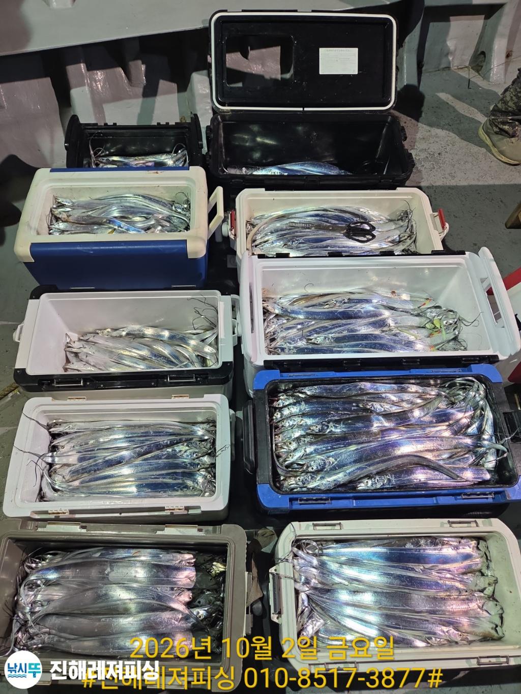 낚시뚜,갈치,진해1부두항,진해레져피싱,낚시뚜24