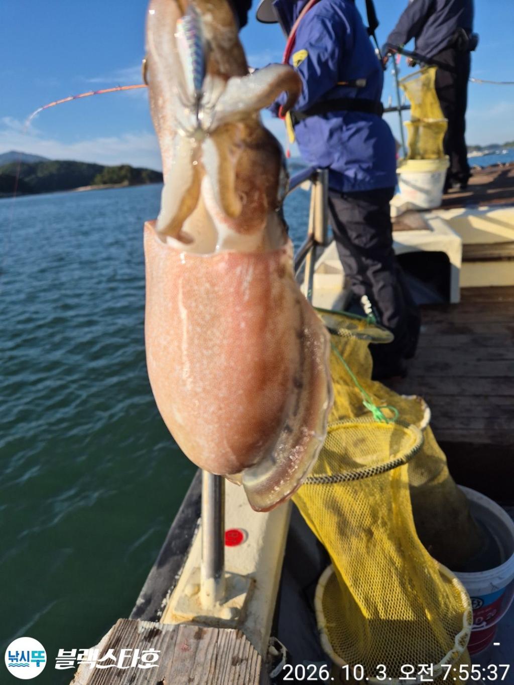낚시뚜,쭈꾸미,삼천포 팔포항,삼천포 블랙스타,낚시뚜3