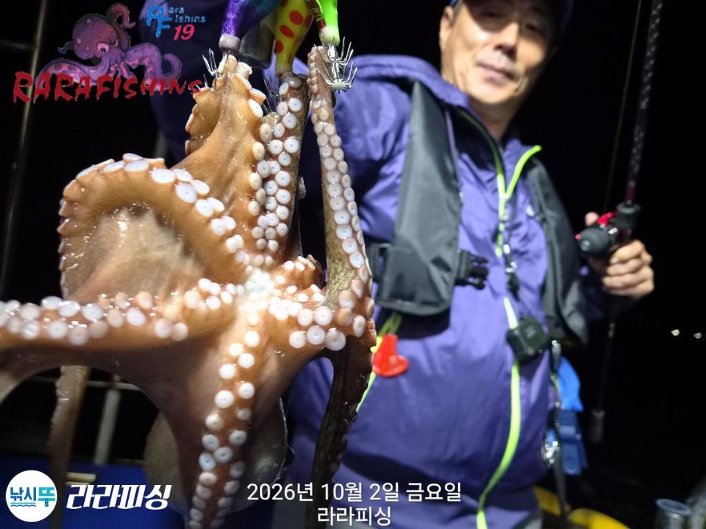 낚시뚜,돌문어,속천항(진해),라라피싱,낚시뚜2