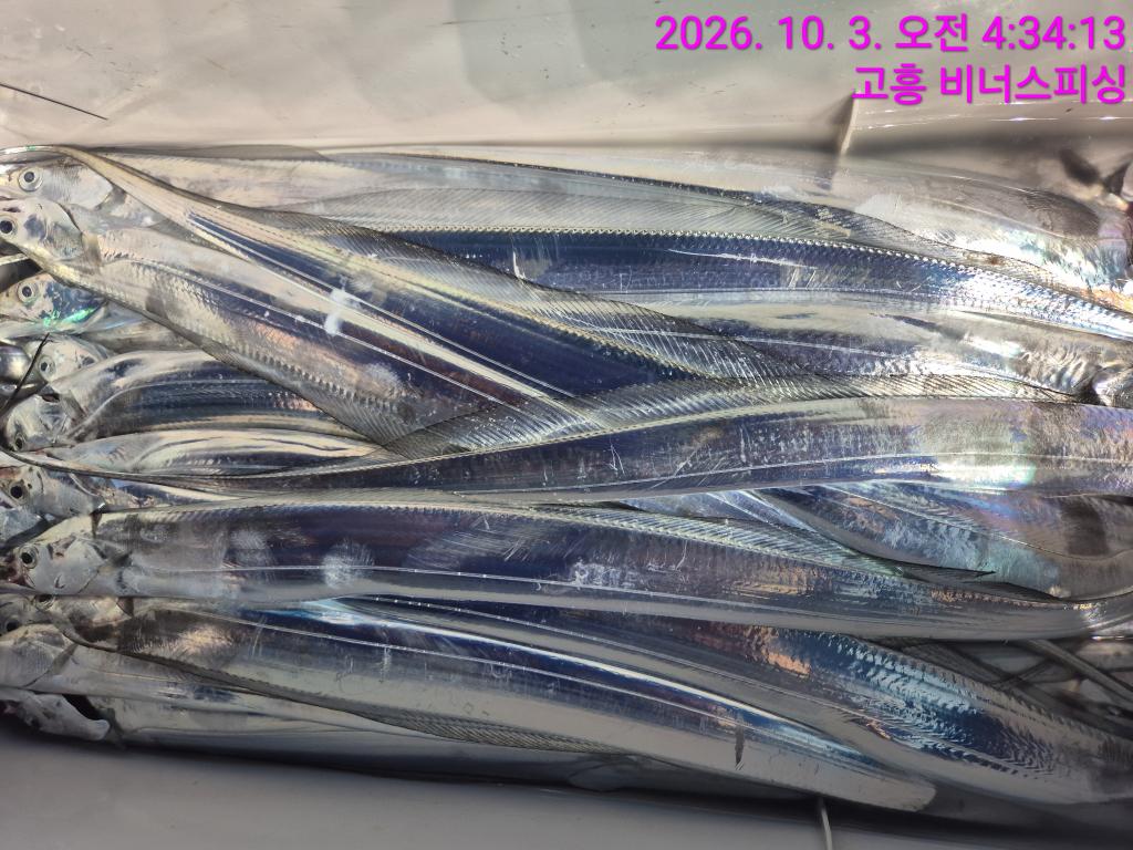 낚시뚜,,녹동항,비너스피싱,낚시뚜13