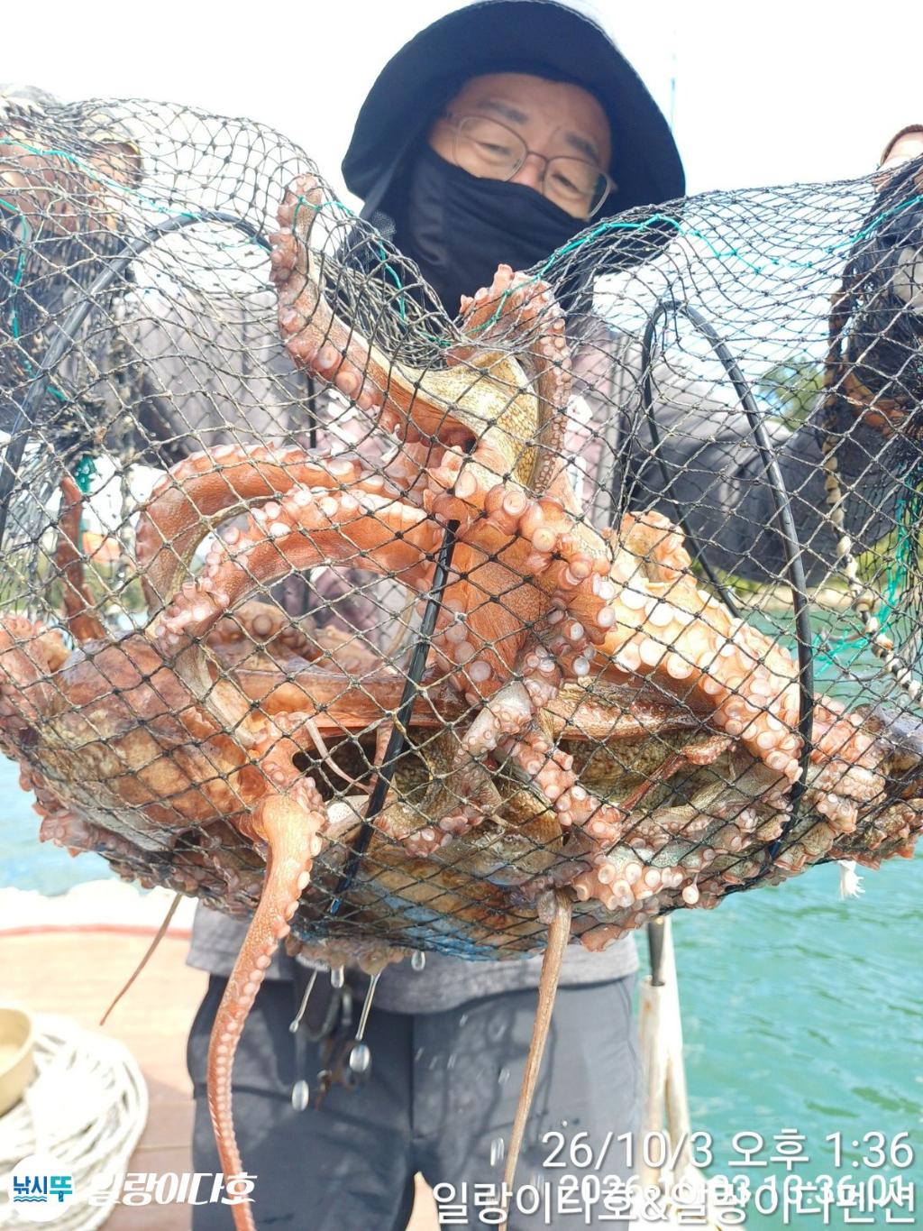 낚시뚜,돌문어,냉천항,일랑이다호,낚시뚜18