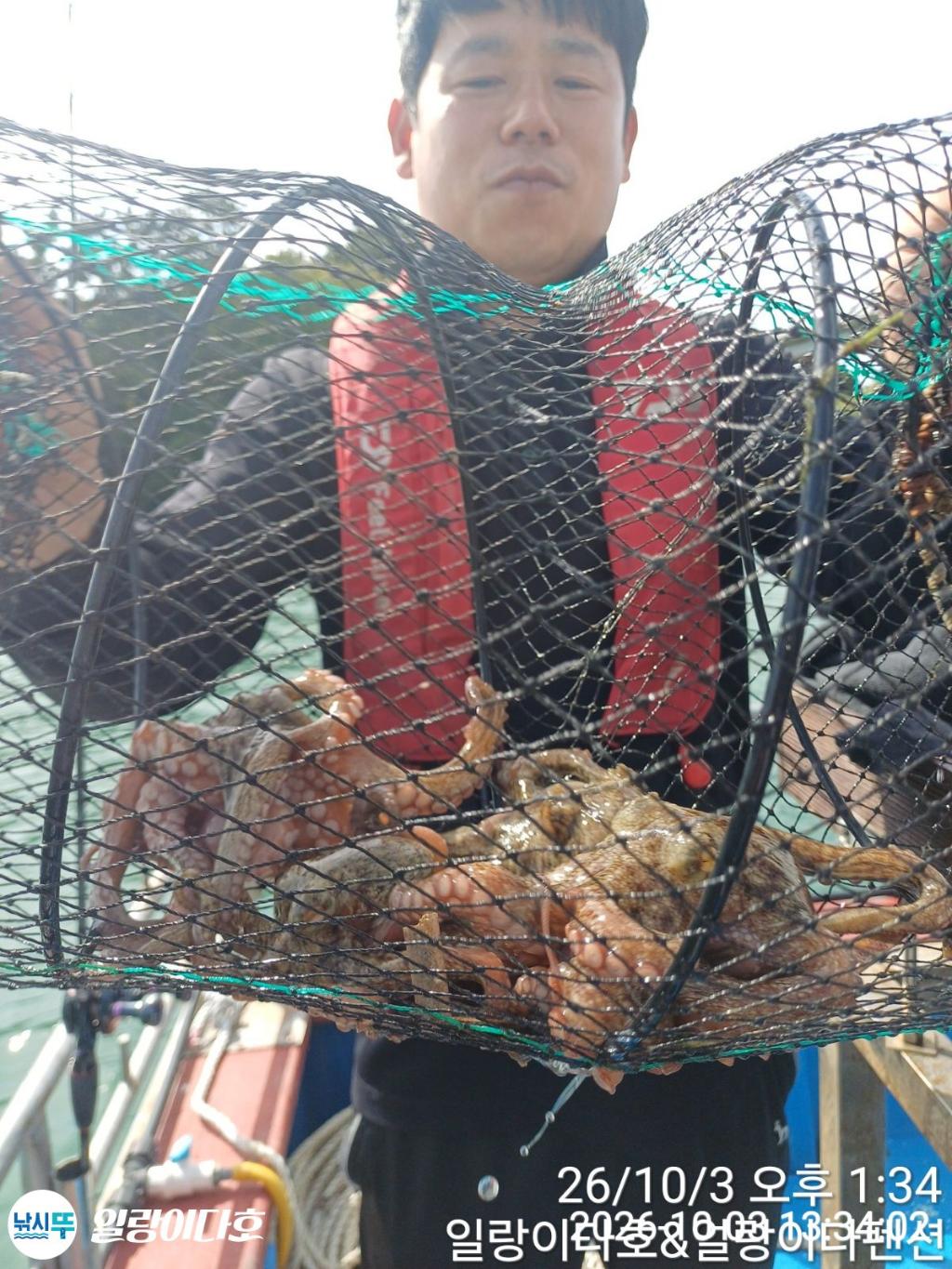 낚시뚜,돌문어,냉천항,일랑이다호,낚시뚜1