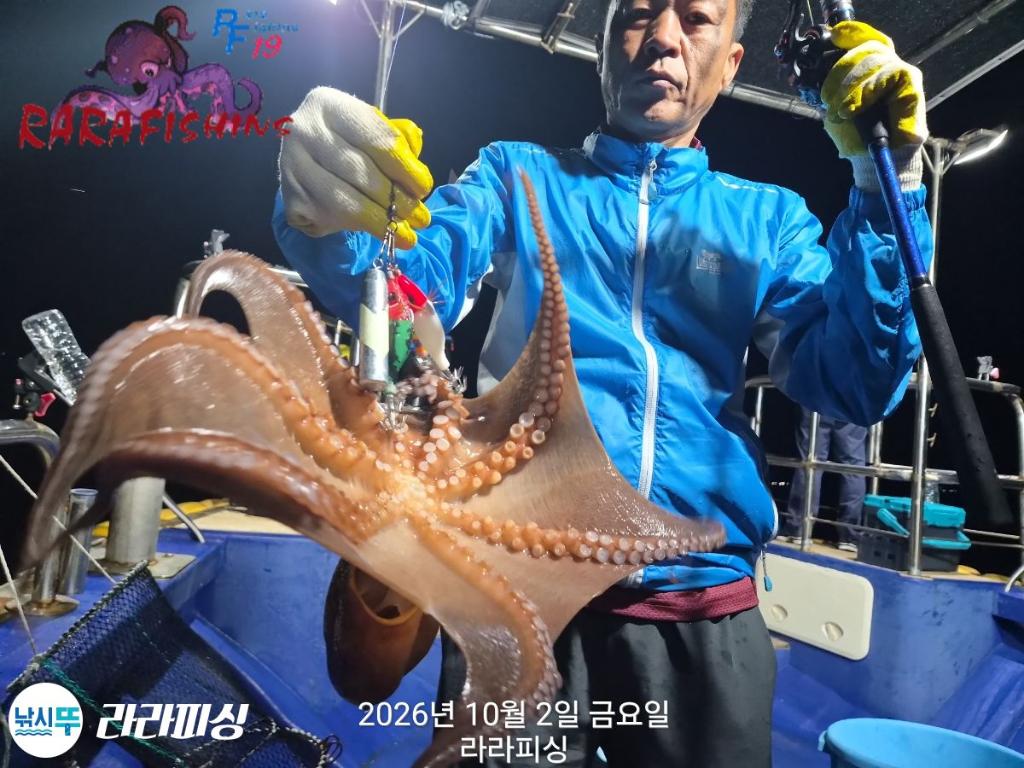 낚시뚜,돌문어,속천항(진해),라라피싱,낚시뚜9