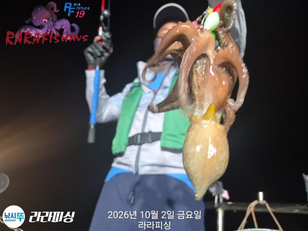 낚시뚜,돌문어,속천항(진해),라라피싱,낚시뚜6