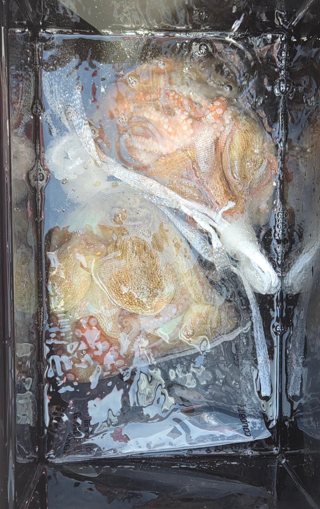 낚시뚜,돌문어,포항여남항,포항포시즌호,낚시뚜17