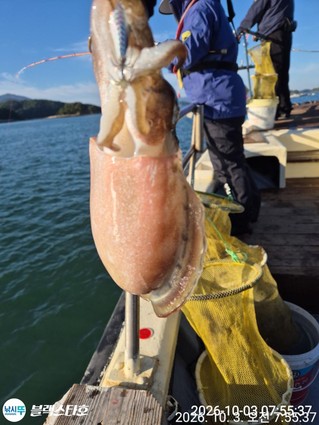 낚시뚜,쭈꾸미,삼천포 팔포항,삼천포 블랙스타,낚시뚜9