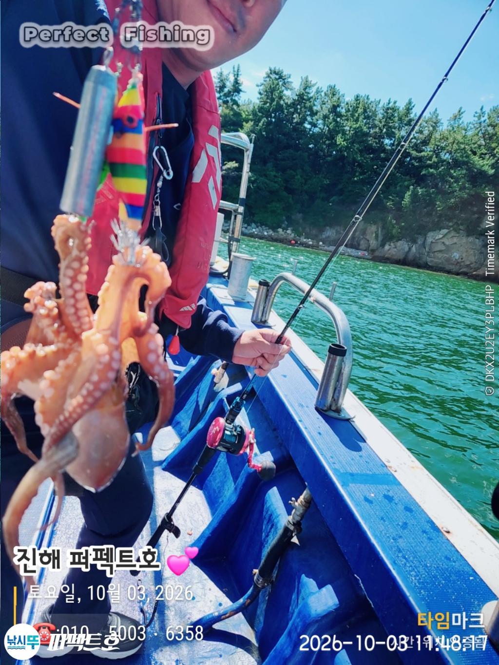 낚시뚜,돌문어,진해 수치마을 방파제,퍼펙트호,낚시뚜13