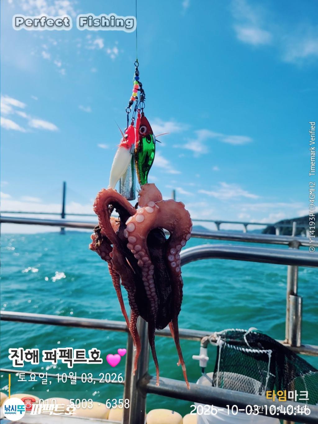 낚시뚜,돌문어,진해 수치마을 방파제,퍼펙트호,낚시뚜12