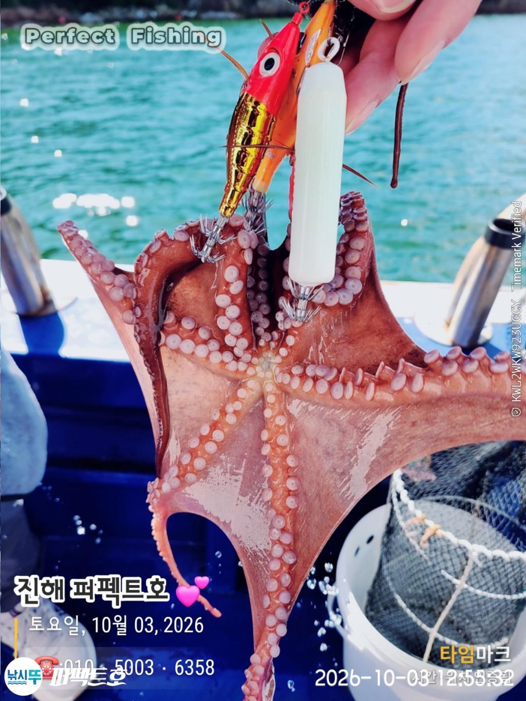 낚시뚜,돌문어,진해 수치마을 방파제,퍼펙트호,낚시뚜7
